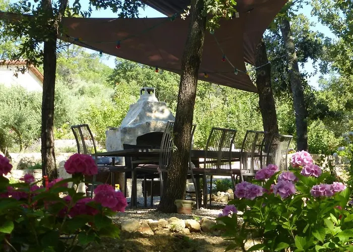 Le Vallon Des Oliviers