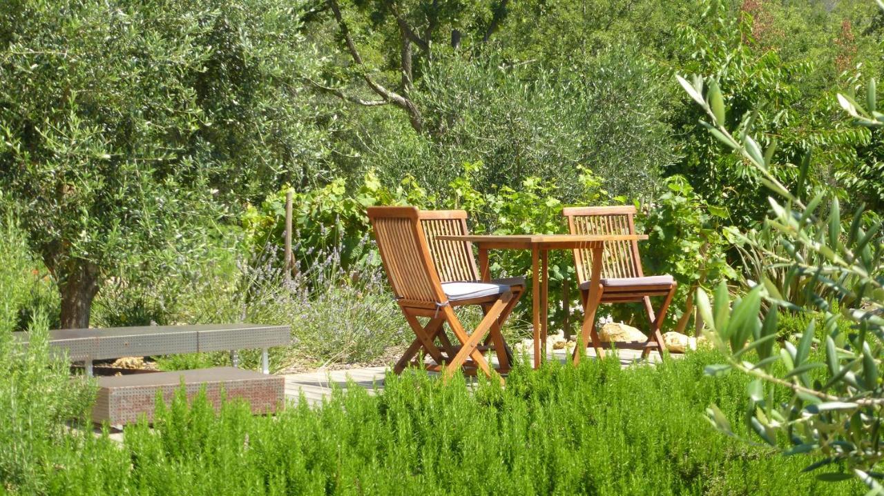 Le Vallon Des Oliviers Montauroux