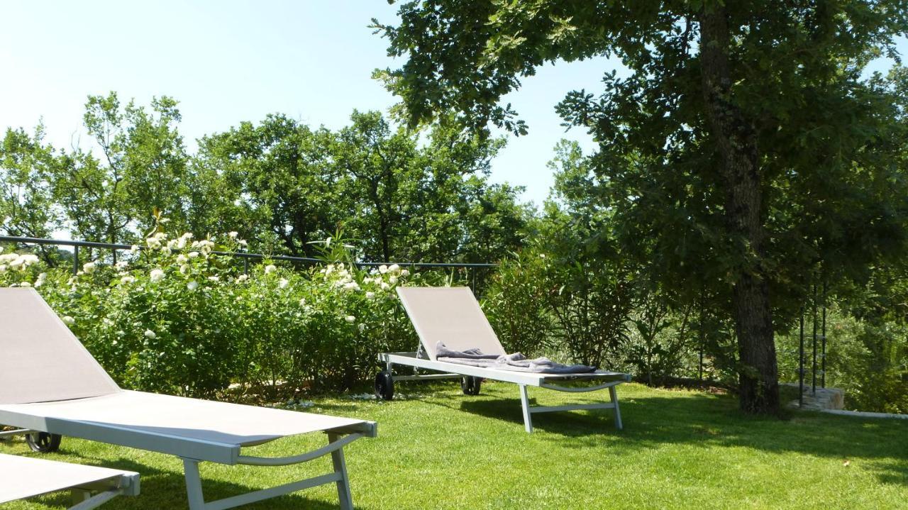 Le Vallon Des Oliviers * Montauroux